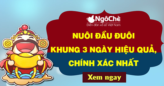 Nuôi đầu đuôi khung 3 ngày hiệu quả, chính xác nhất