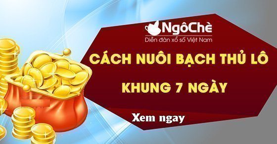 Cách nuôi lô bạch thủ khung 7 ngày miễn phí, chính xác nhất