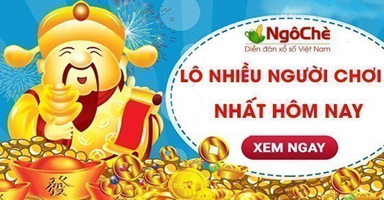 Loto nhiều người chơi nhất trong ngày hôm nay tìm bằng cách nào?