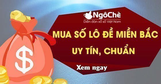 Mua số lô đề hôm nay uy tín chuẩn xác nhất miền Bắc ở đâu?