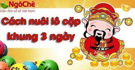 Nuôi lô cặp khung 3 ngày hiệu quả, chuẩn xác nhất